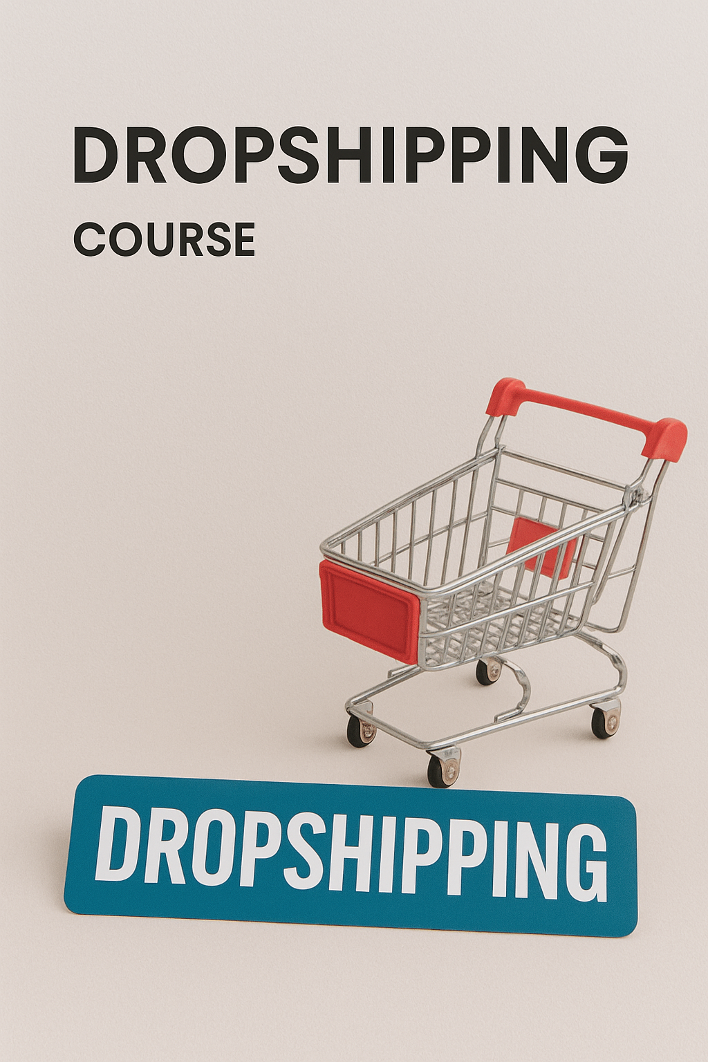 Dropshipping Guide